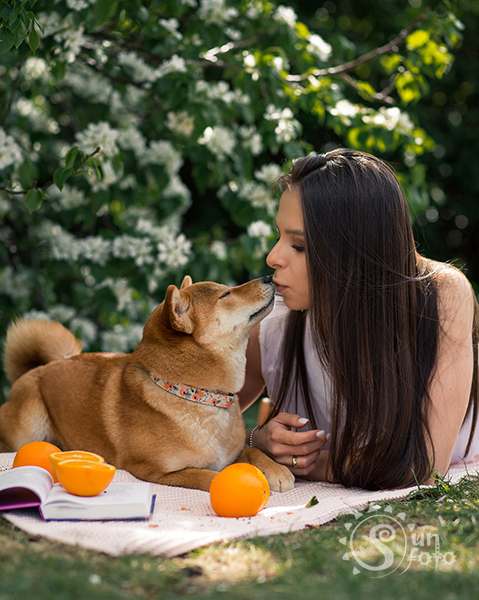 Love story фотосессия с животными